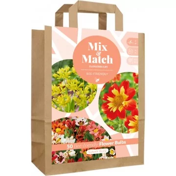 Sunny Buzz ziedu sīpolu...