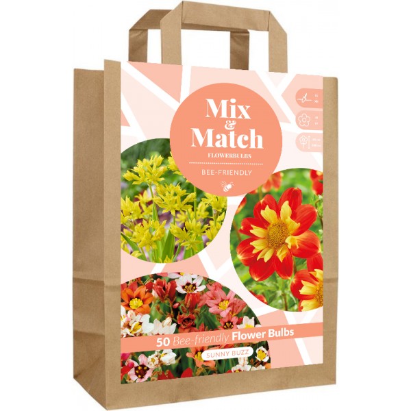 Sunny Buzz ziedu sīpolu komplekts 50 gab