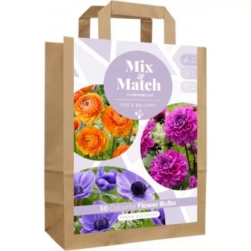 Puķu sīpolu komplekts Urban...