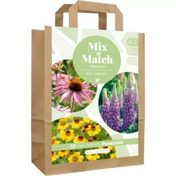 Puķu sīpolu komplekts Buzz...