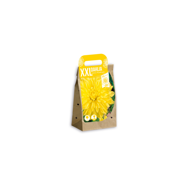 XXL Jurginas Kelvin Floodlight 1 sv.