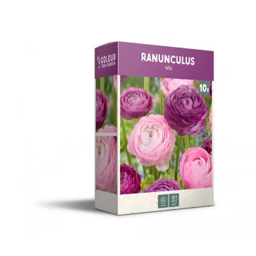 Gundegu maisījums...