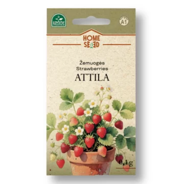 Žemuogės Attila 0.1g