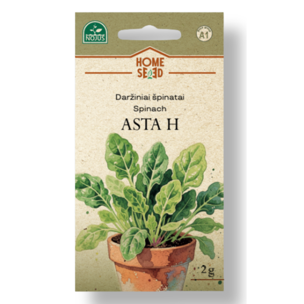 Dārza spināti Asta H 2g.