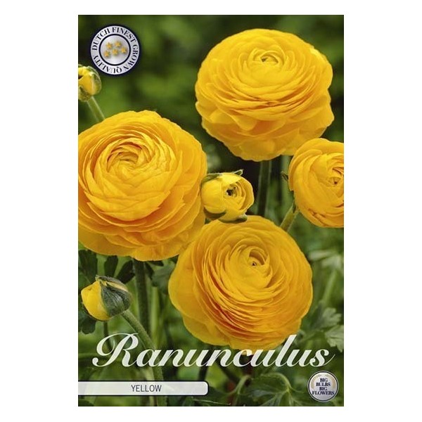 Gundeges YELLOW 10 gab.