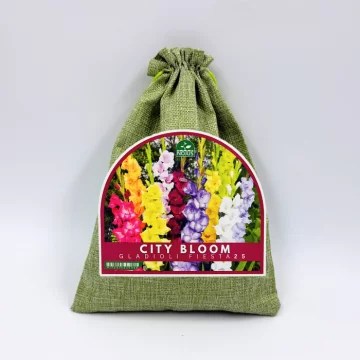 Miesto žiedai svogūinių...