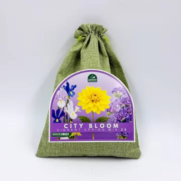 Puķu sīpolu komplekts „City...