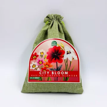 Puķu sīpolu komplekts „City...