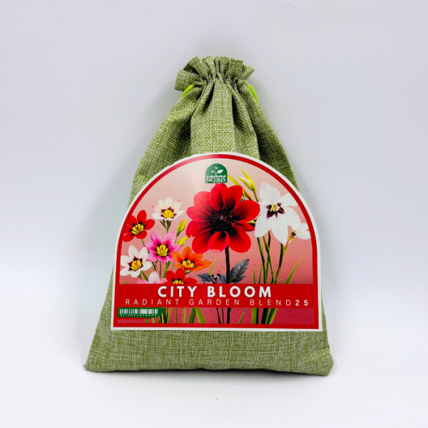 Puķu sīpolu komplekts „City Bloom Radiant Garden Blend“ 25 gab.