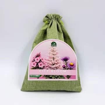 Daudzgadīgo puķu komplekts...