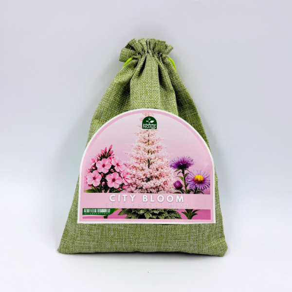 Daudzgadīgo puķu komplekts „City Bloom Soft Pastel Mix“ 3 gab.