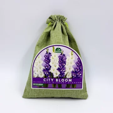 Miesto žiedai elegantiškas...