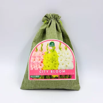 Gladiolu sīpolu komplekts...