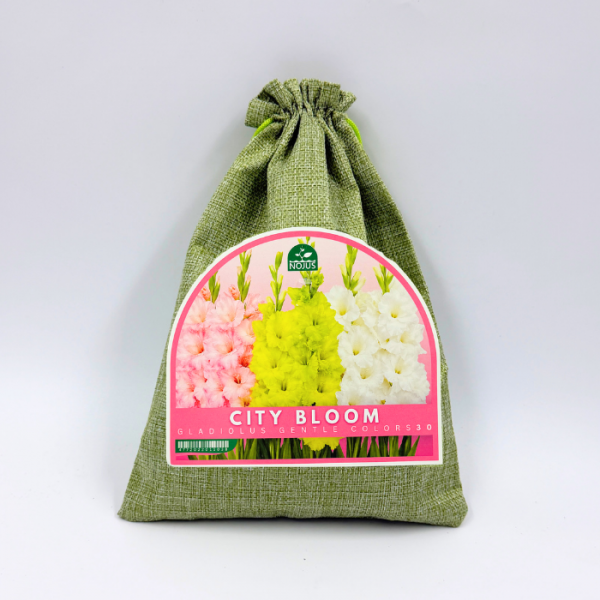 Miesto žiedai spalvingas svogūninių gėlių rinkinys 30 sv.