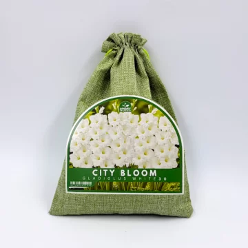 Miesto žiedai baltas...