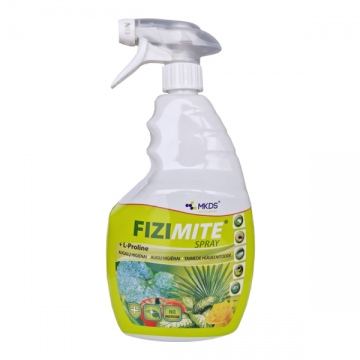 Fizimite SPRAY augu...