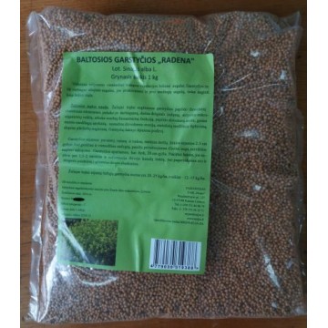 Rudzi, zaļmēslojums (1 KG)