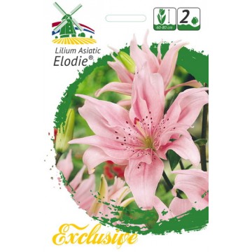 Lilijas ELODIE