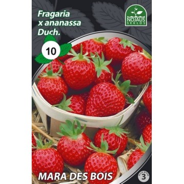 10 gab. MARA DES BOIS Frigo...