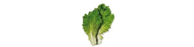 Salāti
