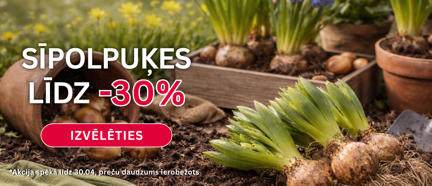 Svogūninių gėlių Akcija LV