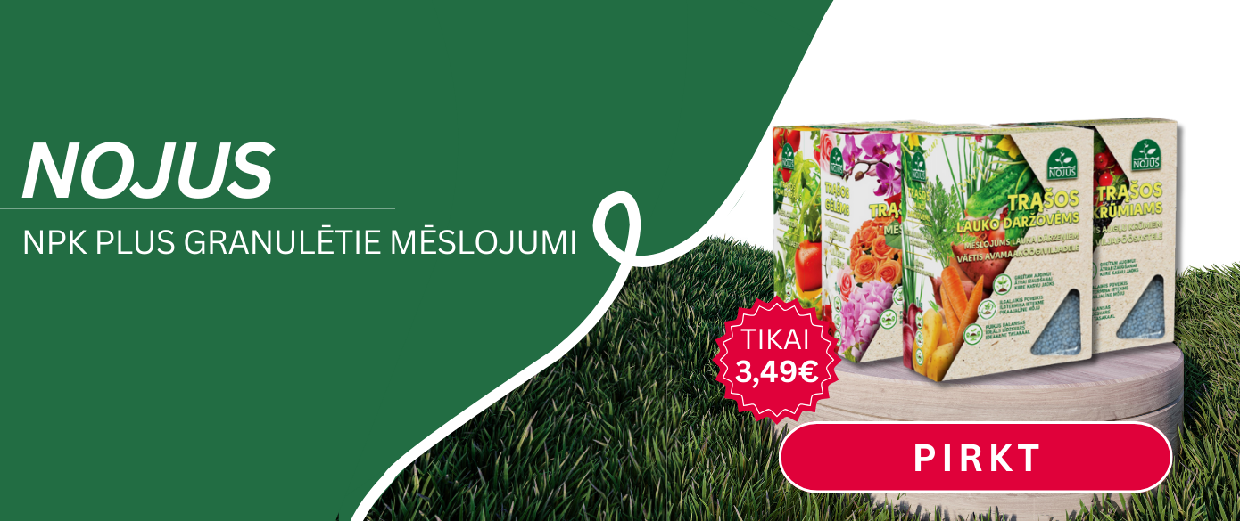 Naujiena Nojus trąšos LV