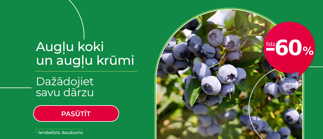 Vaismedžiai ir vaiskrūmiai LV 