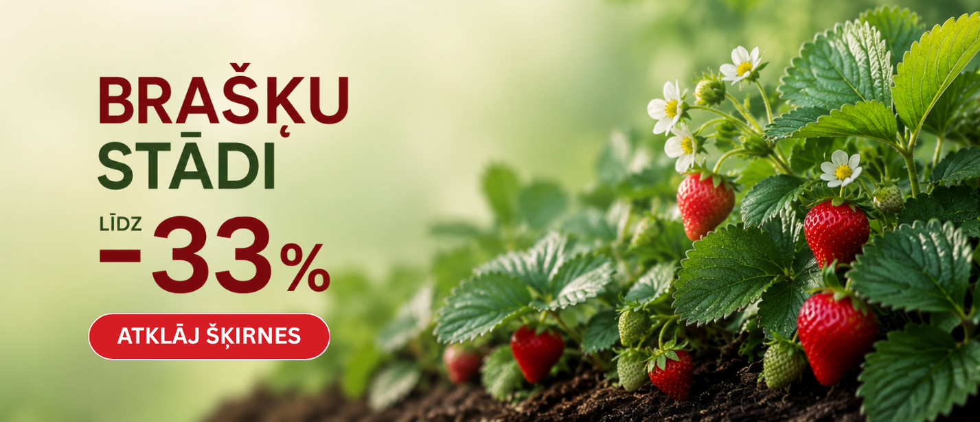 Braškių AKCIJA -33% LV
