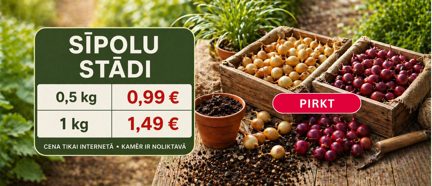 Svogūnų išpardavimas LV