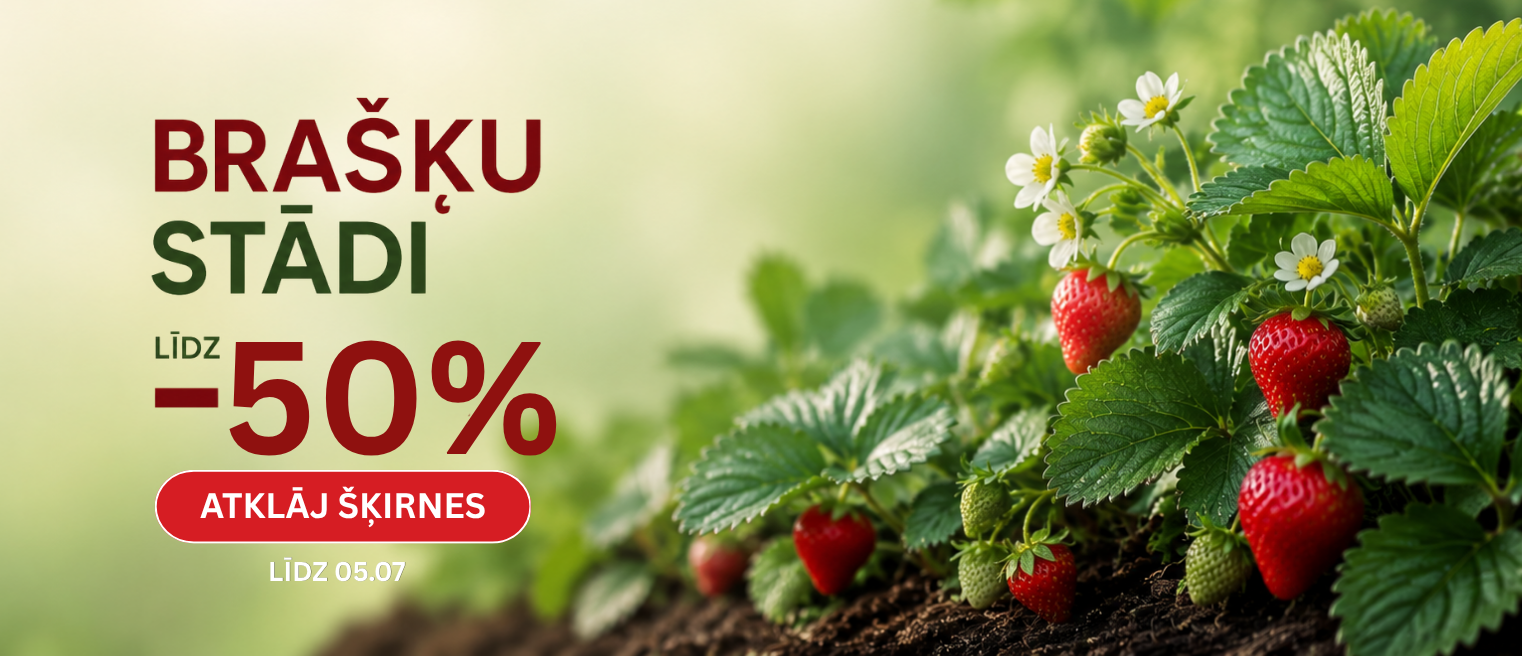 Braškių AKCIJA -33% LV