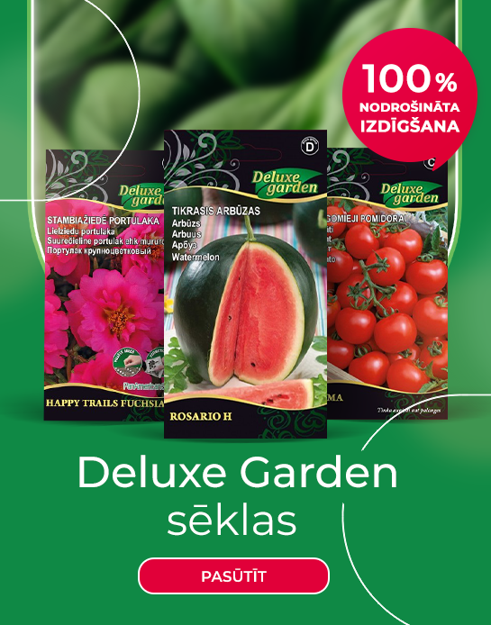 Deluxe Garden LV